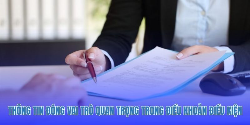 Thông tin đóng vai trò quan trọng trong điều khoản điều kiện